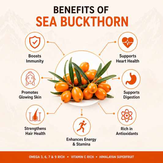 Premium Sea Buckthorn Berries (Dried Seabuckthorn) - 100gms | Vaani Veda