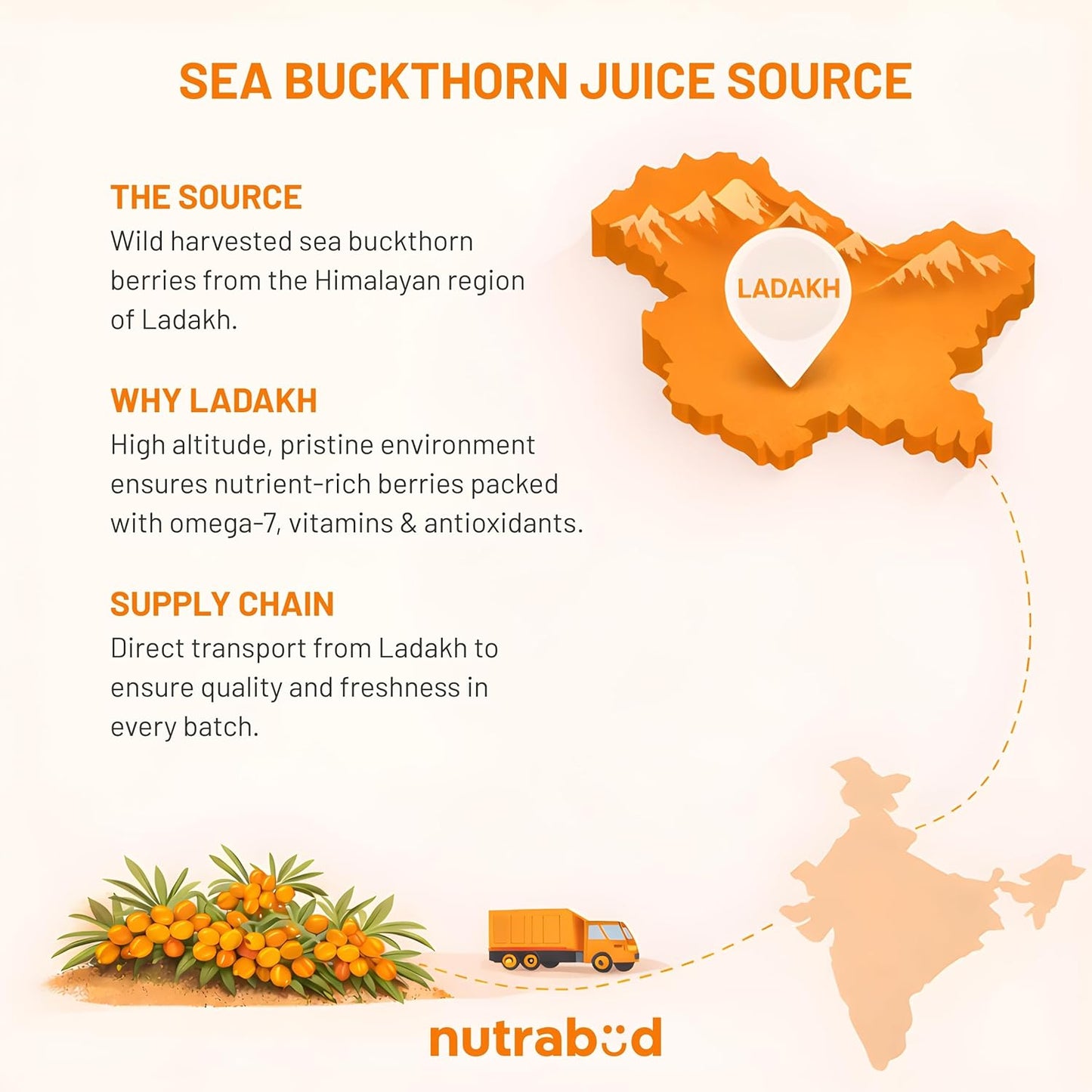 Vaaani Veda Sea Buckthorn Juice (Pulp) Natural Vitamin C | Immunity & Skin Glow