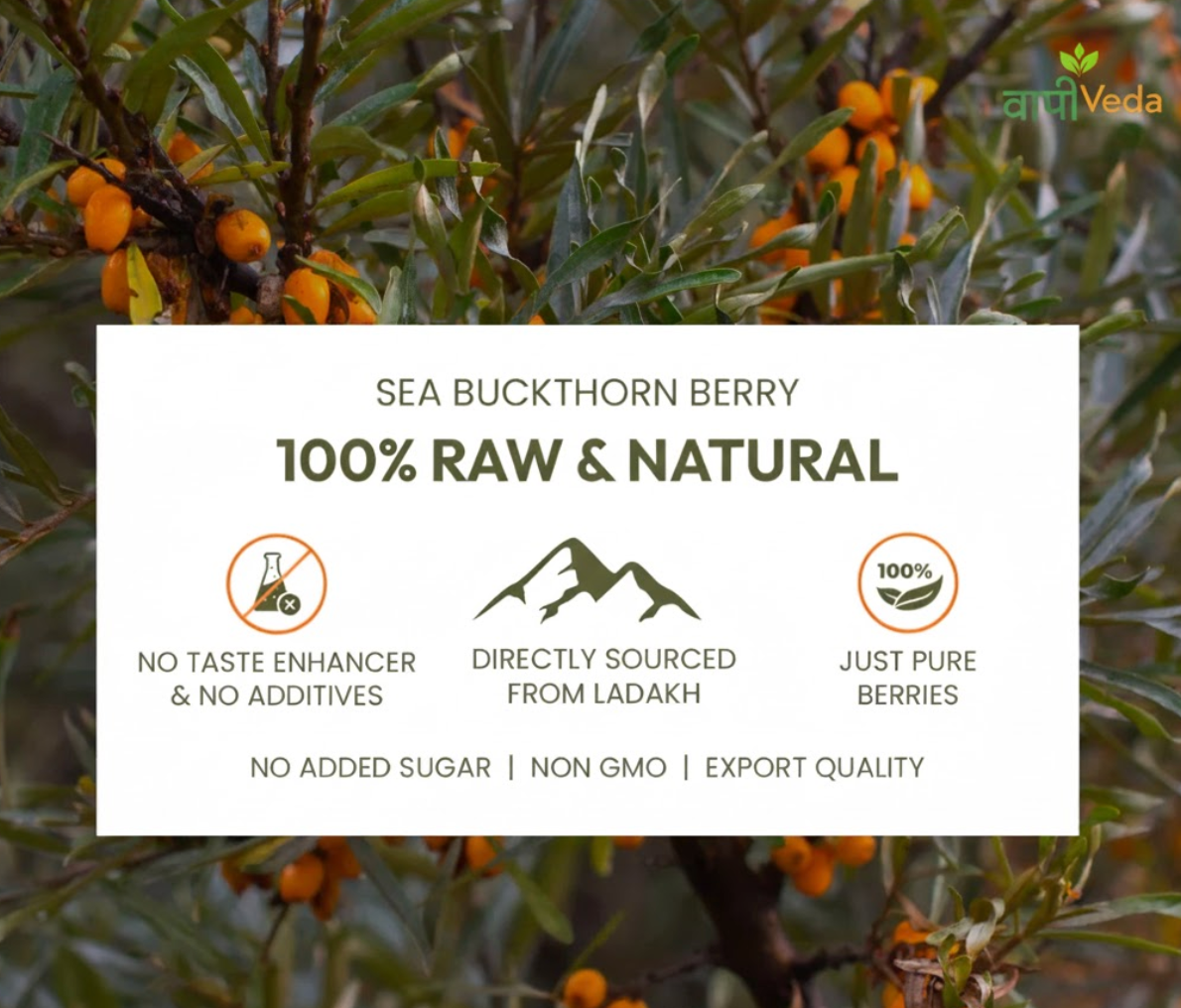 Vaaani Veda Sea Buckthorn Juice (Pulp) Natural Vitamin C | Immunity & Skin Glow